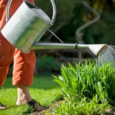 Sådan vander du din have